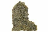 Polished Diogenite Meteorite ( g) Slice - NWA #375705-1